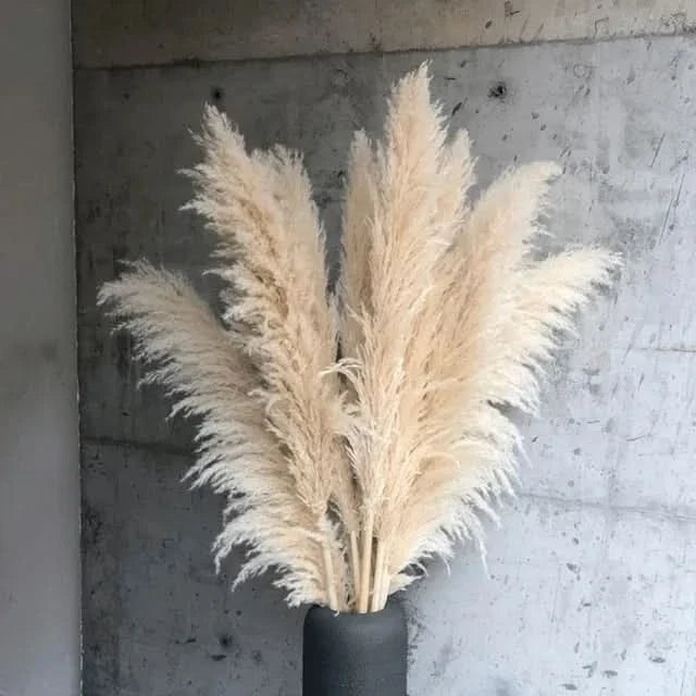 Kunstmatige pampasgras-pluimen in een vaas